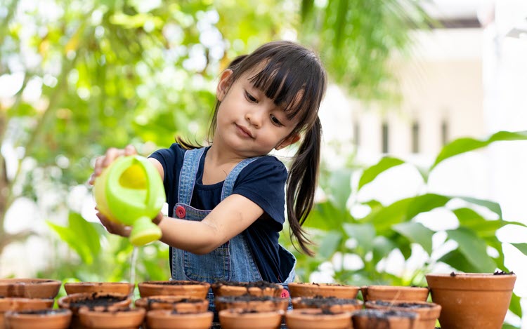 easy house plants for kids to grow