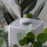 Humidifier for Plants