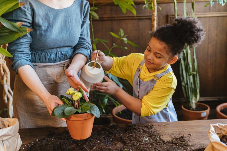 5 year old girl watering a plant with her mom as part of her chores