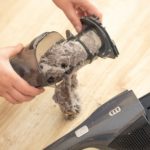 how to clean a dirty vacuum filter