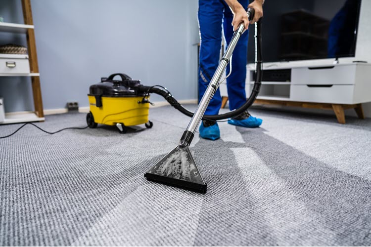 how to vacuum a wet carpet